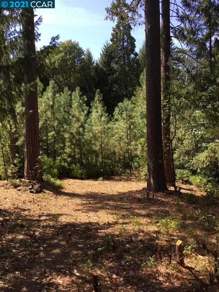 16931 Fairview Court, PIONEER, California 95666, ,Lots And Land,For Sale,Fairview Court,40964309