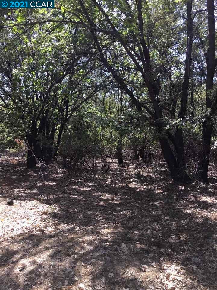 16931 Fairview Court, PIONEER, California 95666, ,Lots And Land,For Sale,Fairview Court,40964309