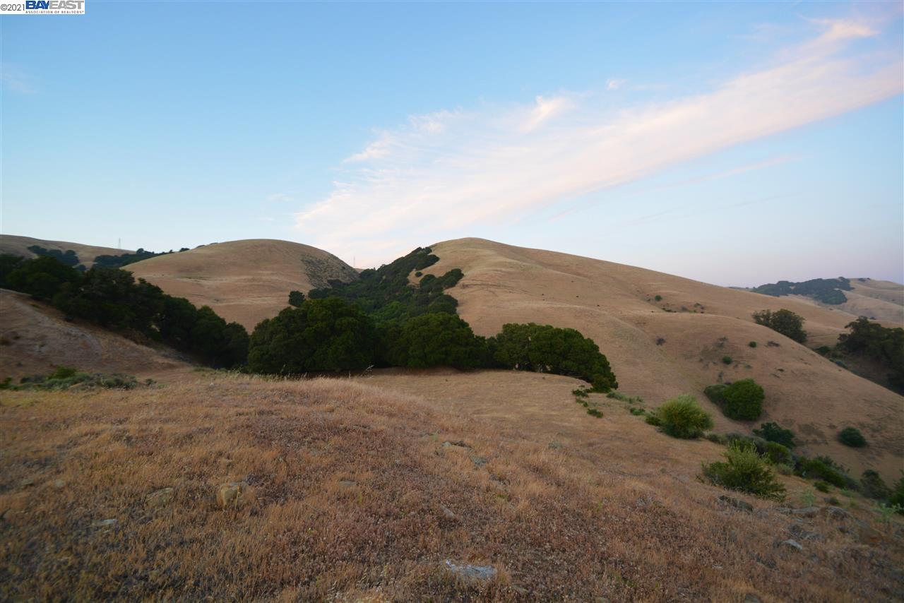 350 Mayhews Rd, FREMONT, California 94536, ,Lots And Land,For Sale,Mayhews Rd,40964434