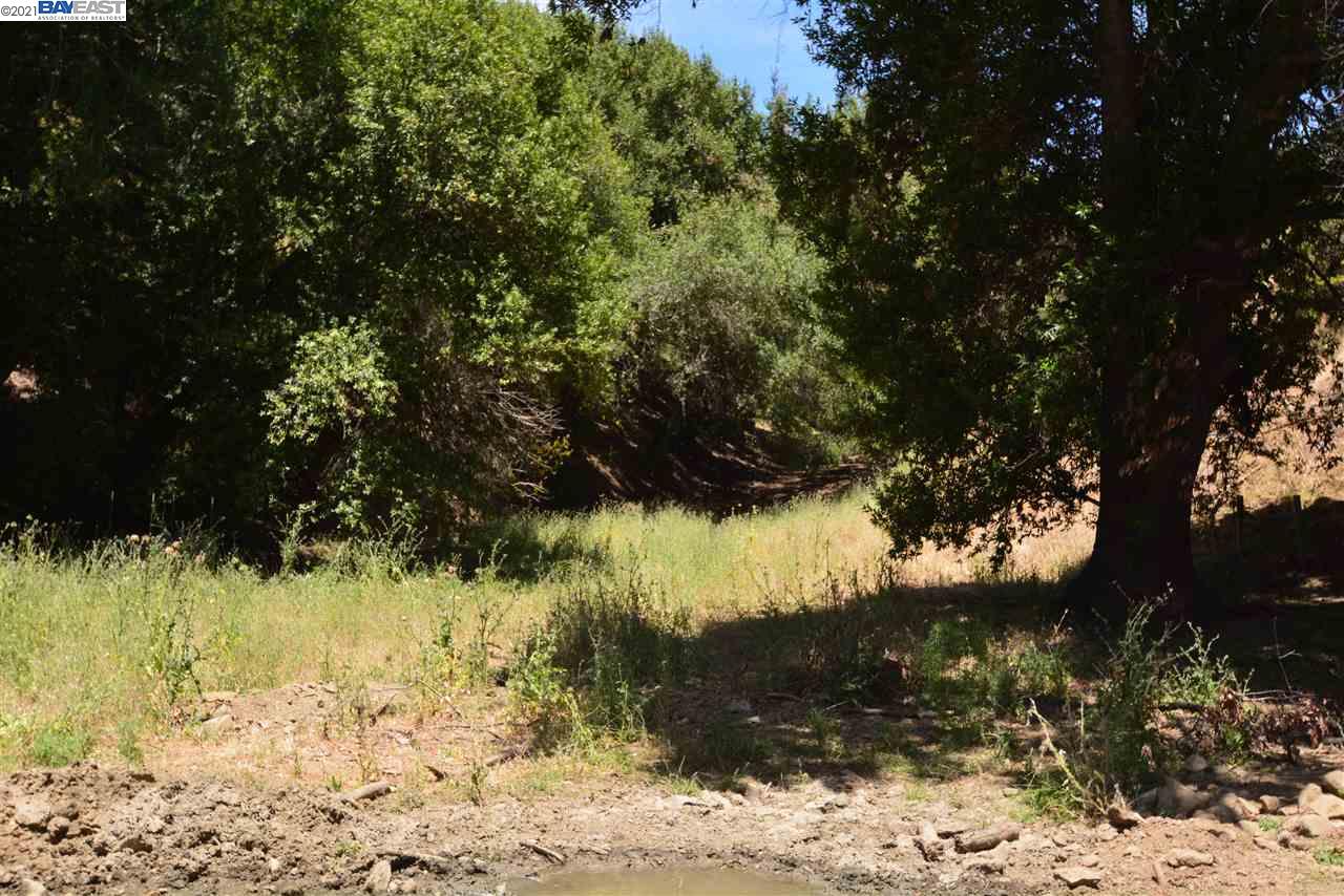 350 Mayhews Rd, FREMONT, California 94536, ,Lots And Land,For Sale,Mayhews Rd,40964434