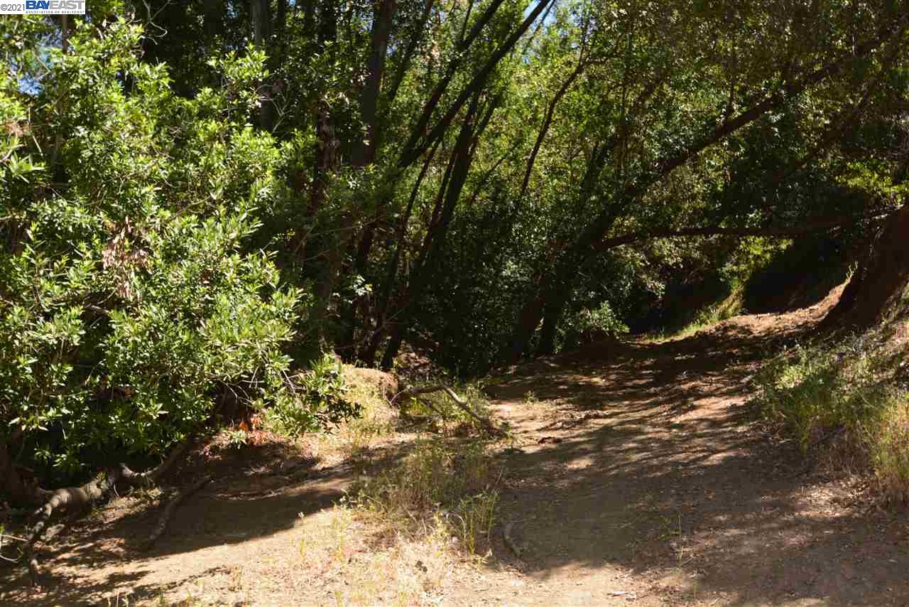 350 Mayhews Rd, FREMONT, California 94536, ,Lots And Land,For Sale,Mayhews Rd,40964434