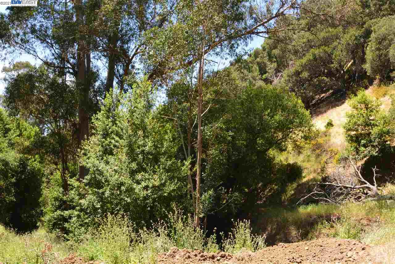 350 Mayhews Rd, FREMONT, California 94536, ,Lots And Land,For Sale,Mayhews Rd,40964434