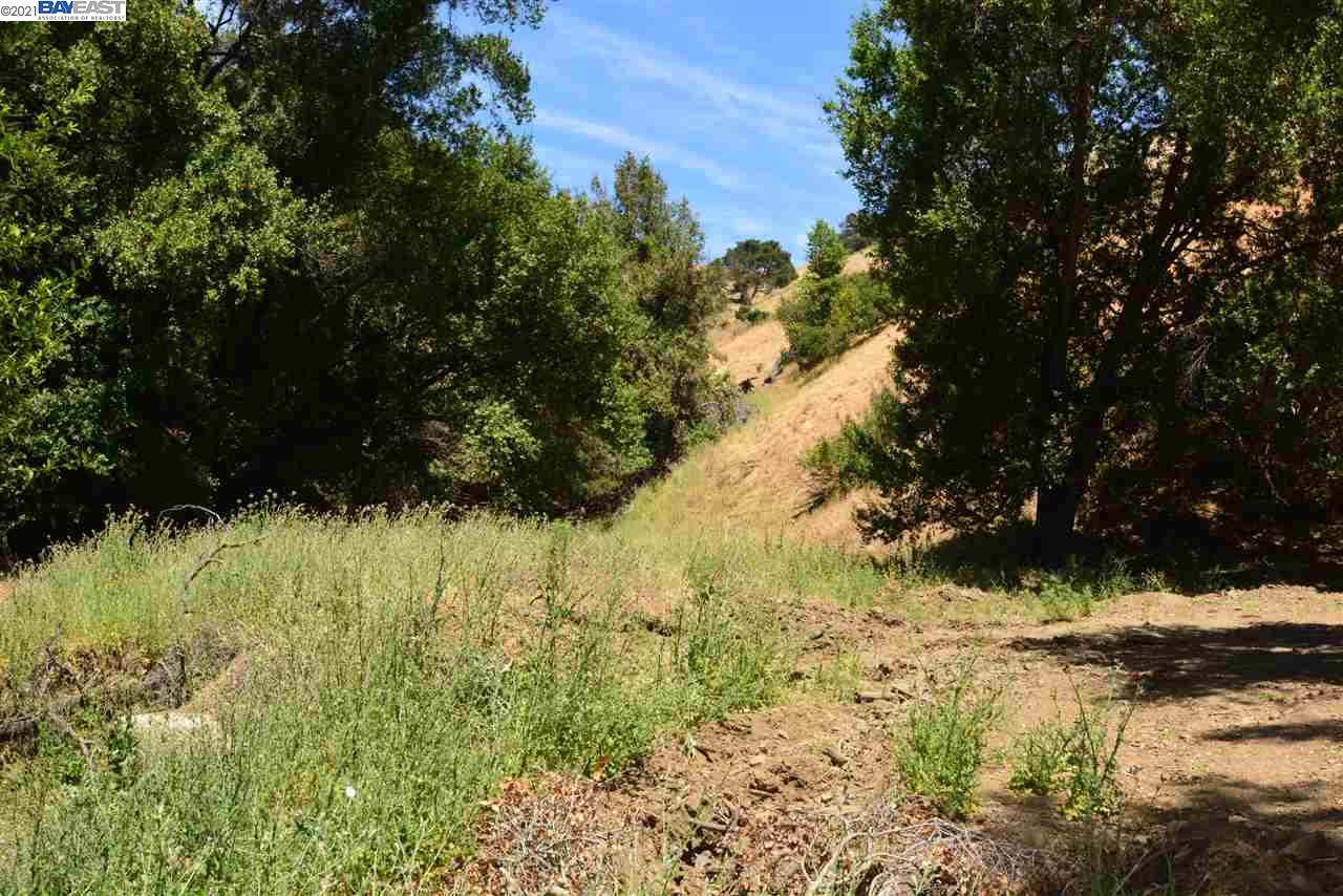 350 Mayhews Rd, FREMONT, California 94536, ,Lots And Land,For Sale,Mayhews Rd,40964434