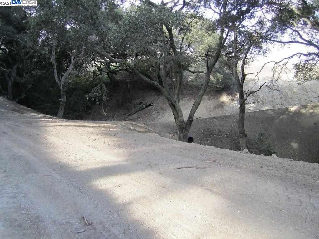 00 Jeanie Ranch, CASTRO VALLEY, California 94546, ,Lots And Land,For Sale,Jeanie Ranch,40964436