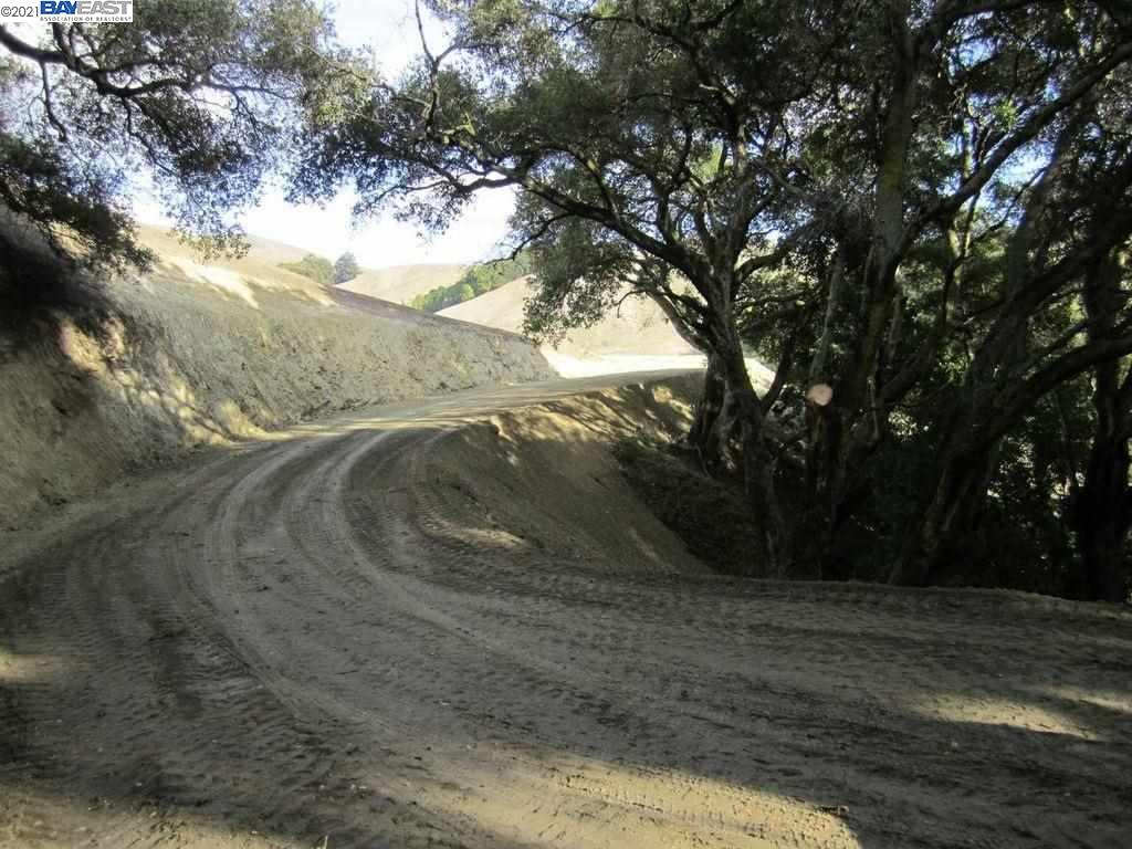 00 Jeanie Ranch, CASTRO VALLEY, California 94546, ,Lots And Land,For Sale,Jeanie Ranch,40964436