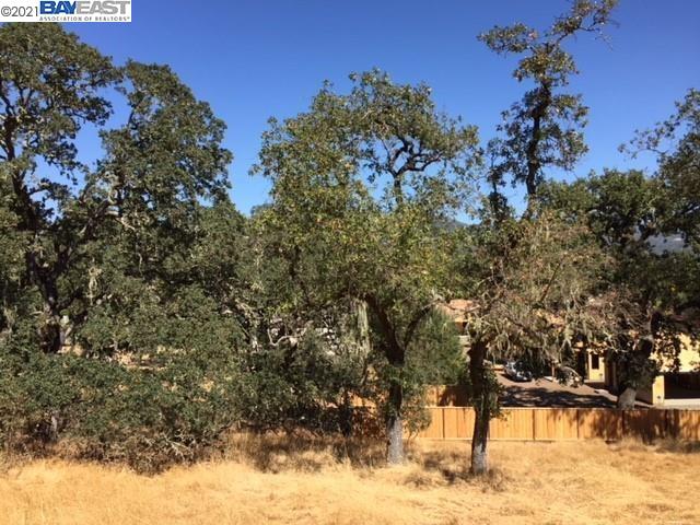 940 Highland Court, CALISTOGA, California 94515, ,Lots And Land,For Sale,Highland Court,40964446