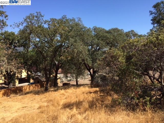 940 Highland Court, CALISTOGA, California 94515, ,Lots And Land,For Sale,Highland Court,40964446