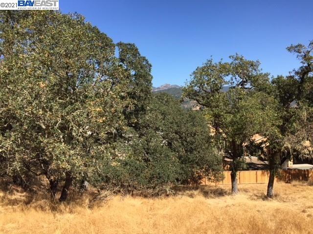 940 Highland Court, CALISTOGA, California 94515, ,Lots And Land,For Sale,Highland Court,40964446