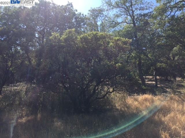 940 Highland Court, CALISTOGA, California 94515, ,Lots And Land,For Sale,Highland Court,40964446