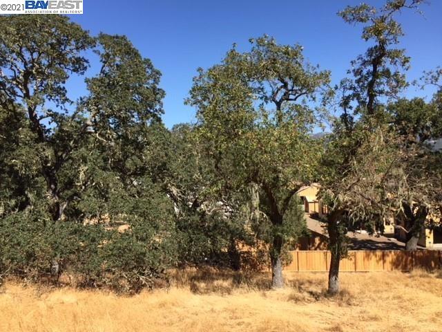 940 Highland Court, CALISTOGA, California 94515, ,Lots And Land,For Sale,Highland Court,40964446