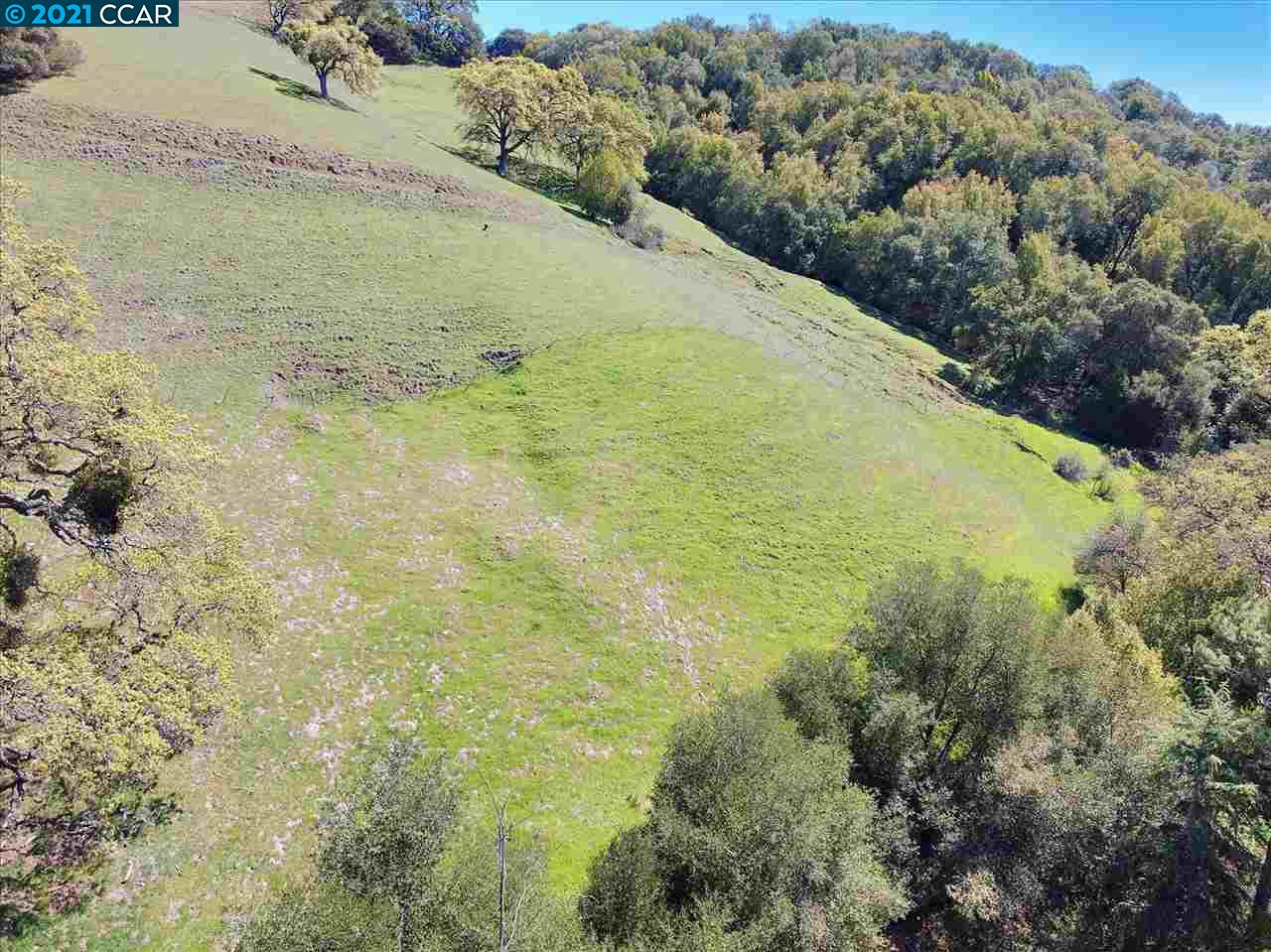 11 Sequoia Way, MARTINEZ, California 94553, ,Lots And Land,For Sale,Sequoia Way,40964457