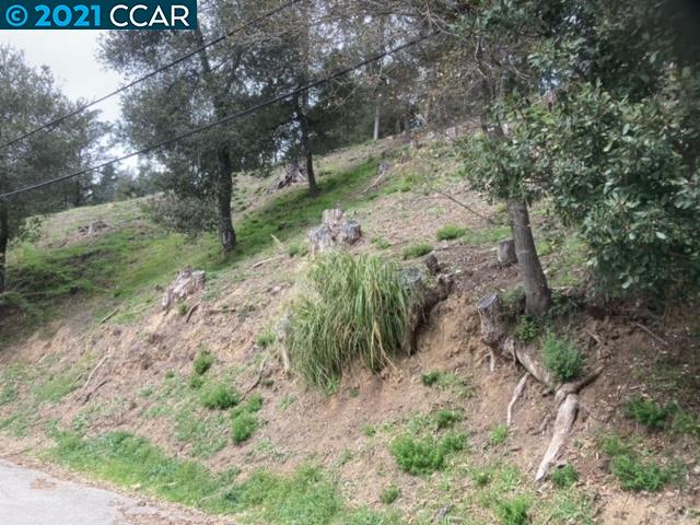 0000 Woodrow Dr, OAKLAND, California 94611, ,Lots And Land,For Sale,Woodrow Dr,40964514