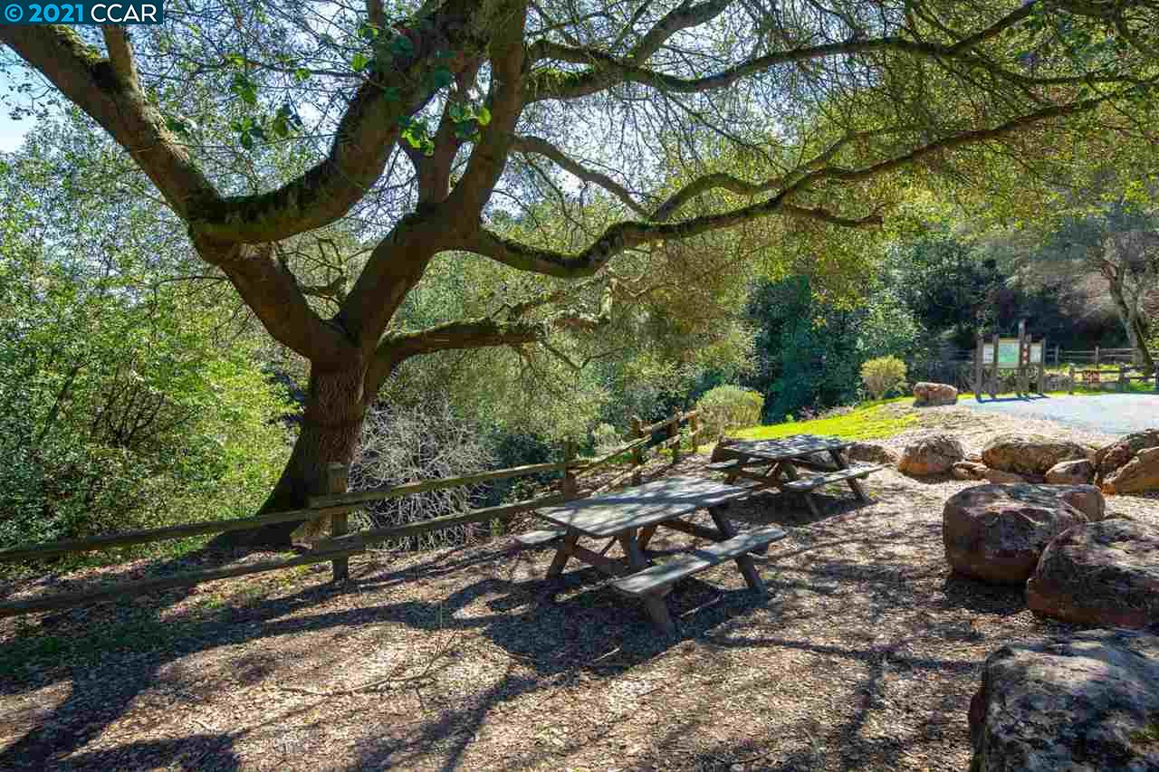 7021 Elverton Dr, OAKLAND, California 94611, ,Lots And Land,For Sale,Elverton Dr,40964525