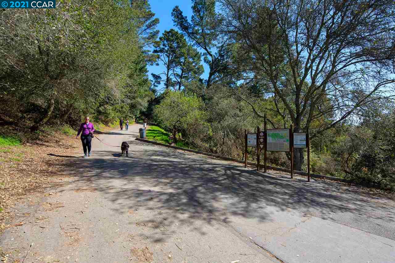 7021 Elverton Dr, OAKLAND, California 94611, ,Lots And Land,For Sale,Elverton Dr,40964525