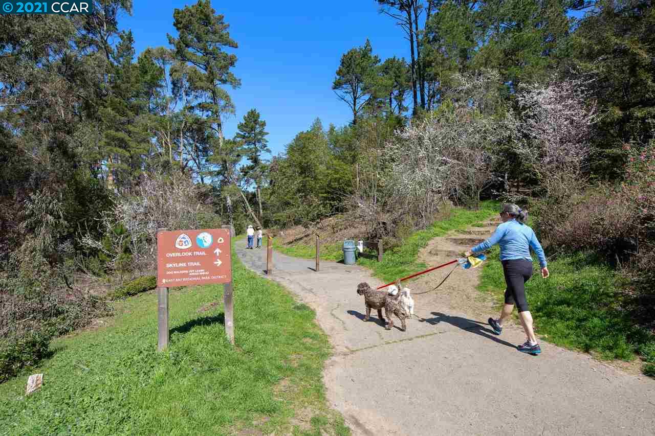 7021 Elverton Dr, OAKLAND, California 94611, ,Lots And Land,For Sale,Elverton Dr,40964525
