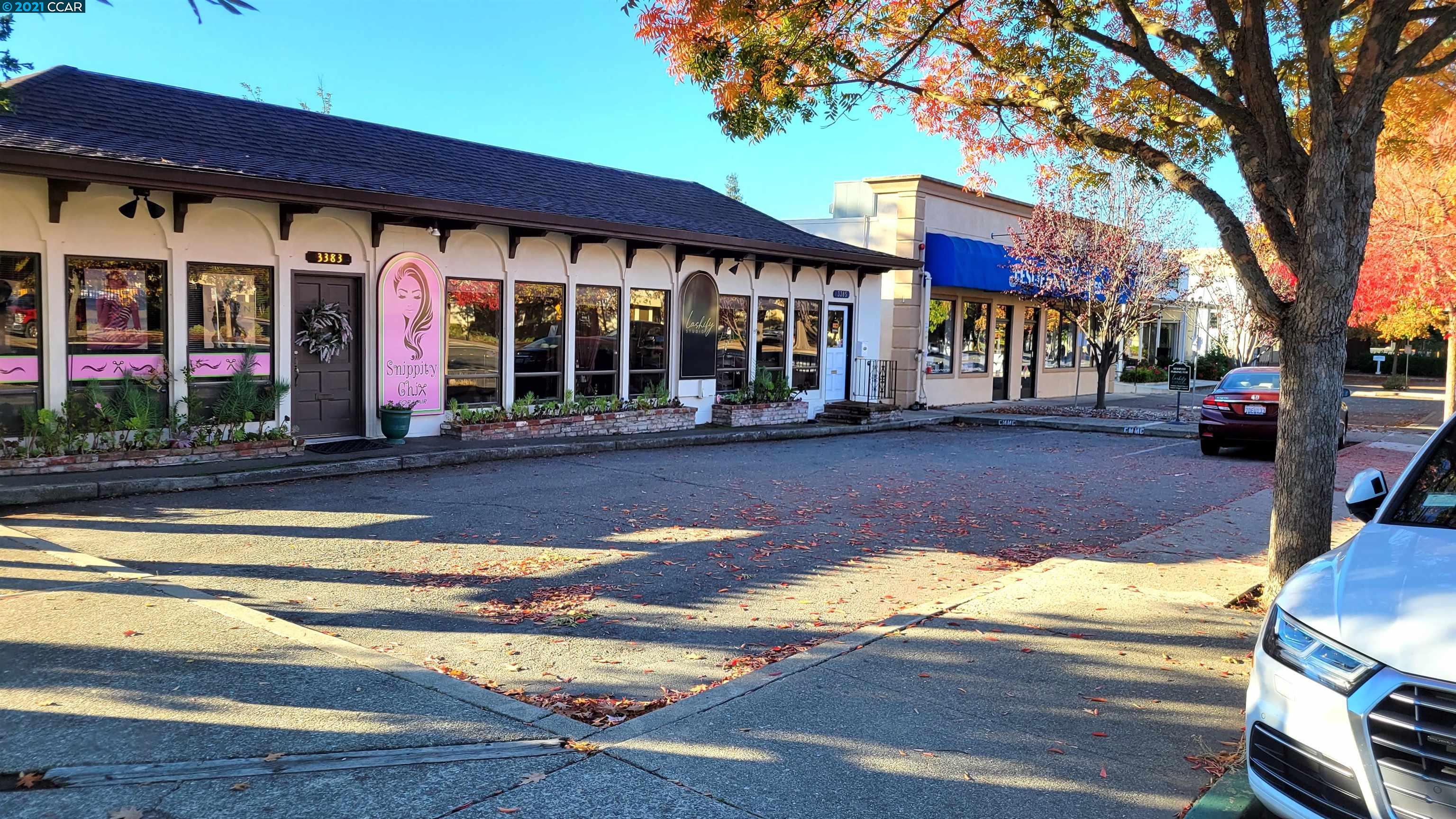 3385 Mt Diablo Blvd, LAFAYETTE, California 94549, ,Comm Industrial For Sale,For Sale,Mt Diablo Blvd,40972357