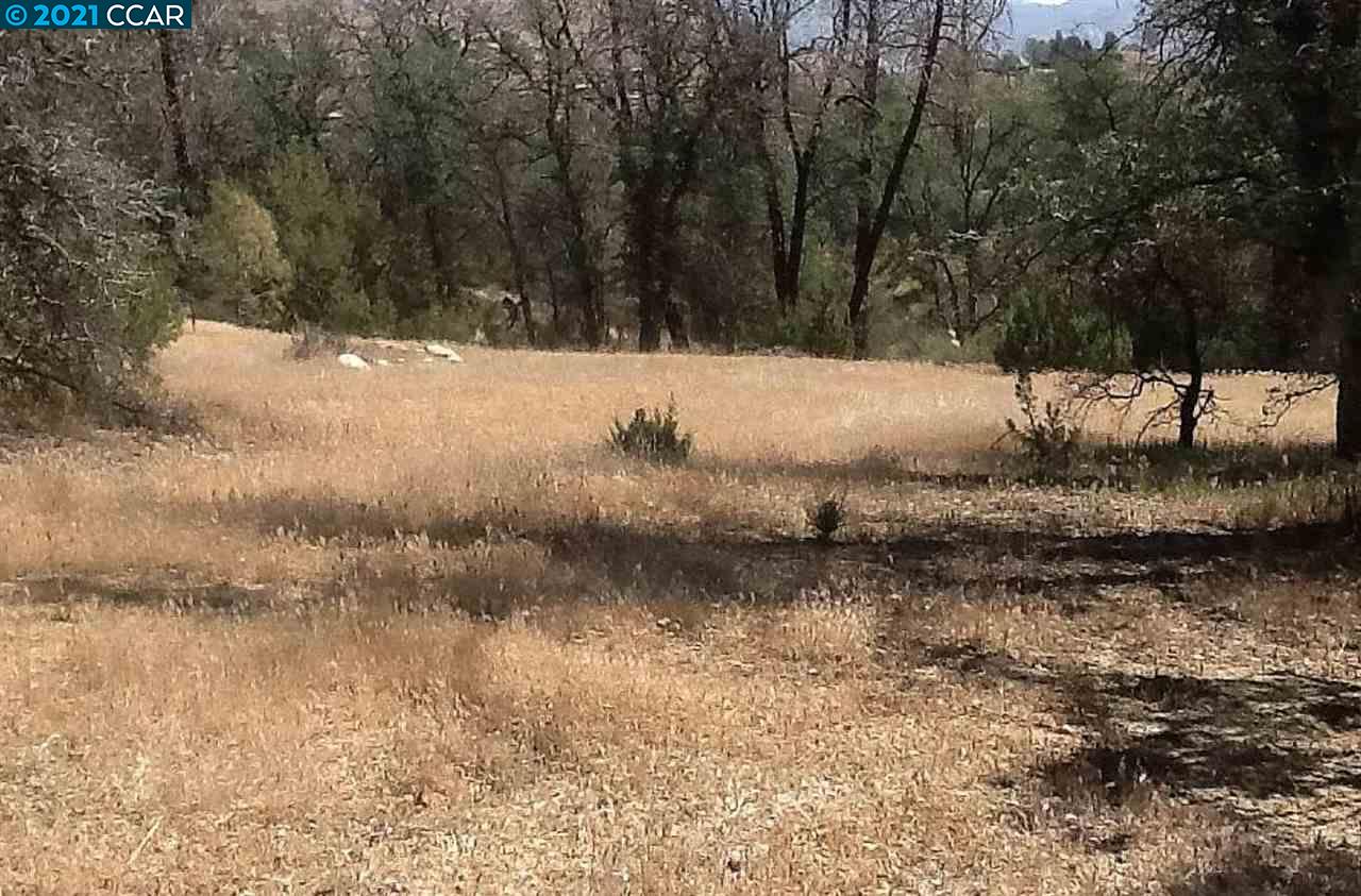 0 Mountain Shadow Rd, WOFFORD HEIGHTS, California 93285, ,Lots And Land,For Sale,Mountain Shadow Rd,40964547