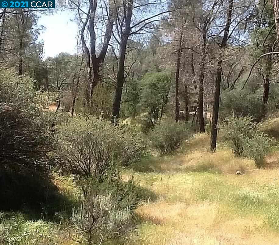 0 Mountain Shadow Rd, WOFFORD HEIGHTS, California 93285, ,Lots And Land,For Sale,Mountain Shadow Rd,40964547
