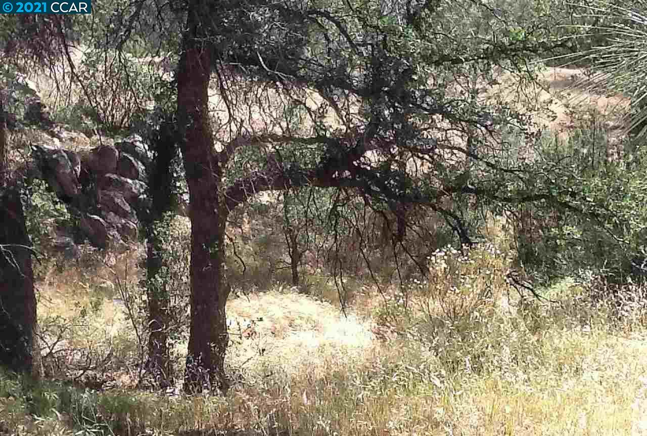 0 Mountain Shadow Rd, WOFFORD HEIGHTS, California 93285, ,Lots And Land,For Sale,Mountain Shadow Rd,40964547