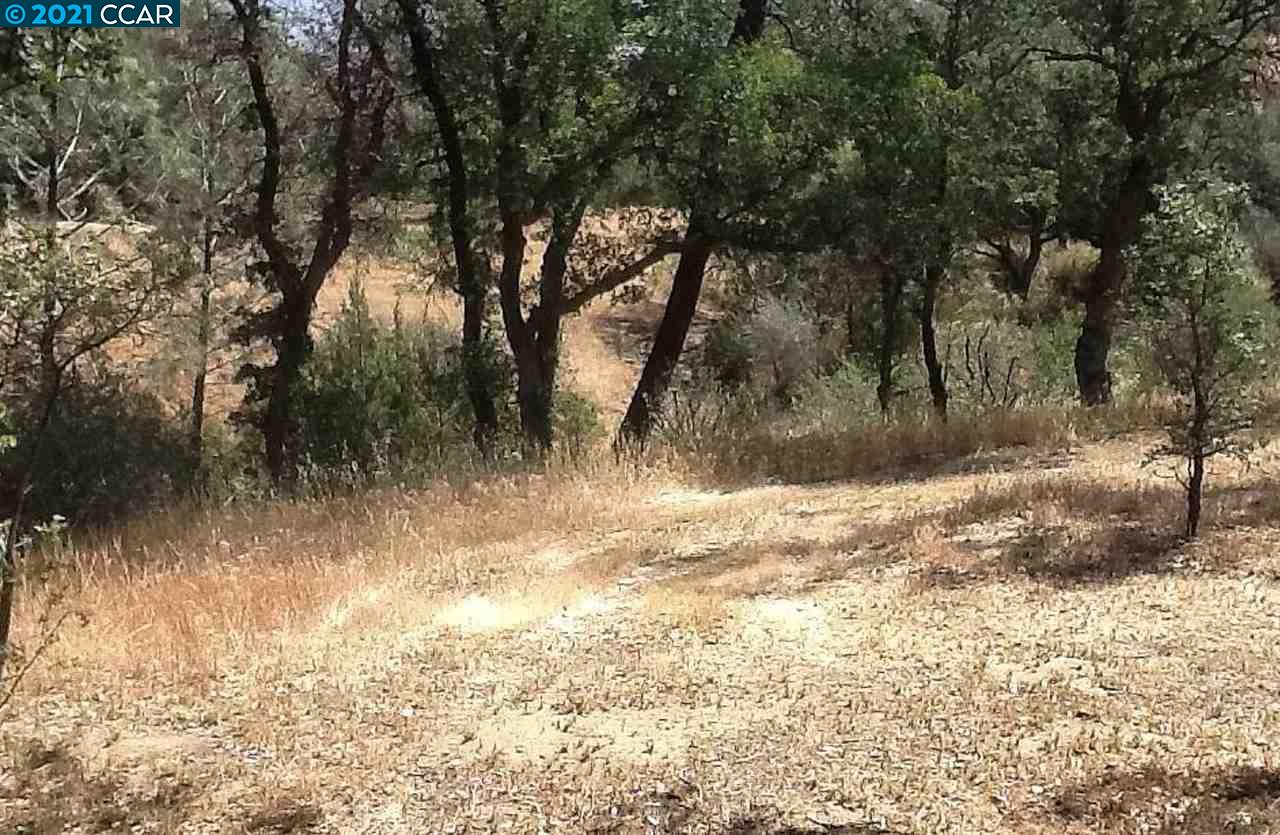 0 Mountain Shadow Rd, WOFFORD HEIGHTS, California 93285, ,Lots And Land,For Sale,Mountain Shadow Rd,40964547