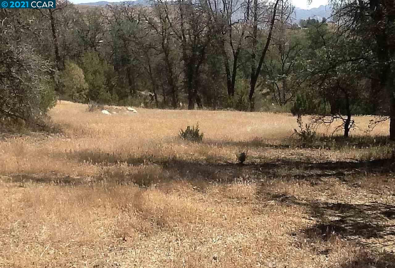 0 Mountain Shadow Rd, WOFFORD HEIGHTS, California 93285, ,Lots And Land,For Sale,Mountain Shadow Rd,40964547