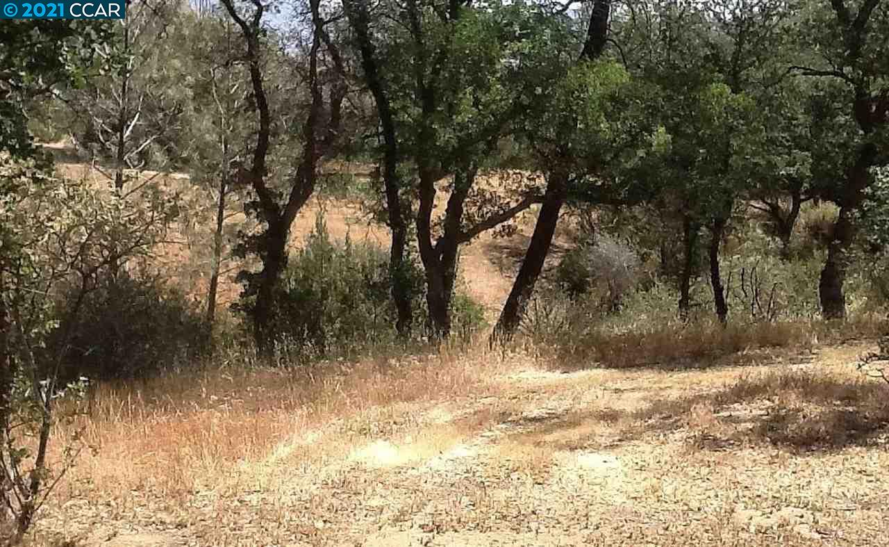 0 Mountain Shadow Rd, WOFFORD HEIGHTS, California 93285, ,Lots And Land,For Sale,Mountain Shadow Rd,40964547