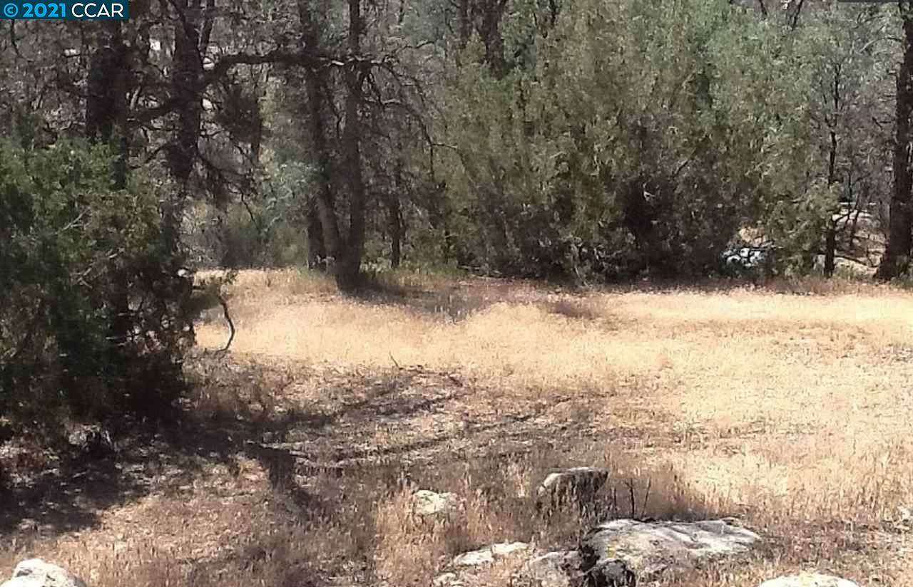 0 Mountain Shadow Rd, WOFFORD HEIGHTS, California 93285, ,Lots And Land,For Sale,Mountain Shadow Rd,40964547