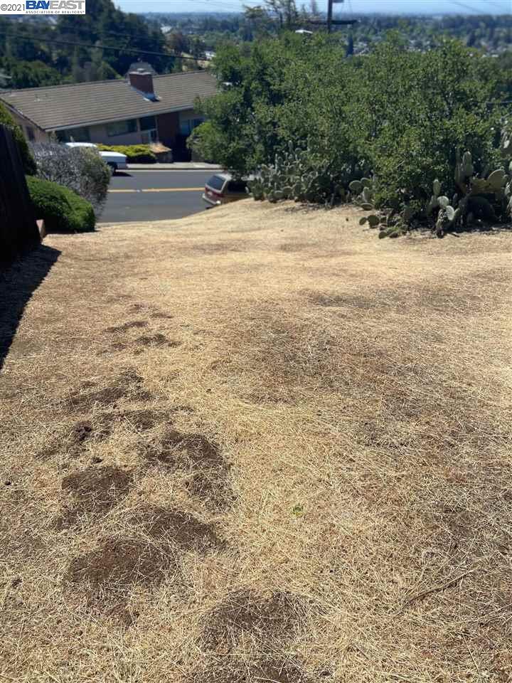 3055 Malcolm Ave, OAKLAND, California 94605, ,Lots And Land,For Sale,Malcolm Ave,40964556