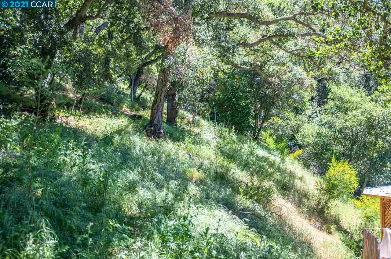 0 Park Way, SUNOL, California 94586, ,Lots And Land,For Sale,Park Way,40964612