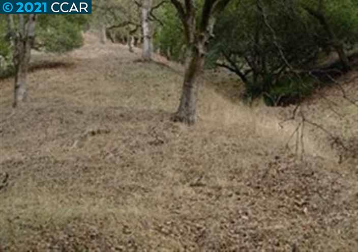 0 Castle Hill Ranch A B C, WALNUT CREEK, California 94595-2637, ,Lots And Land,For Sale,Castle Hill Ranch A B C,40964575