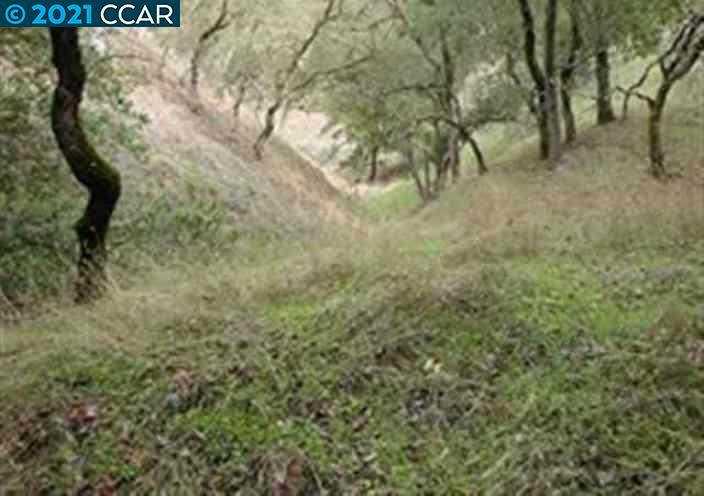 0 Castle Hill Ranch A B C, WALNUT CREEK, California 94595-2637, ,Lots And Land,For Sale,Castle Hill Ranch A B C,40964575