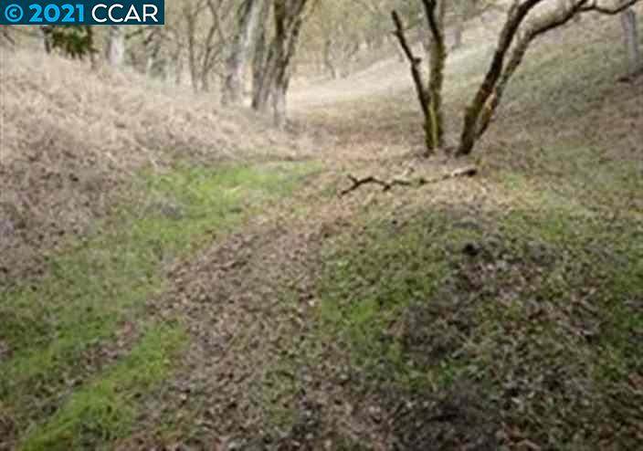 0 Castle Hill Ranch A B C, WALNUT CREEK, California 94595-2637, ,Lots And Land,For Sale,Castle Hill Ranch A B C,40964575