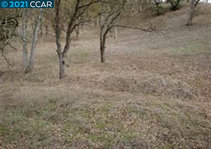 0 Castle Hill Ranch A B C, WALNUT CREEK, California 94595-2637, ,Lots And Land,For Sale,Castle Hill Ranch A B C,40964575