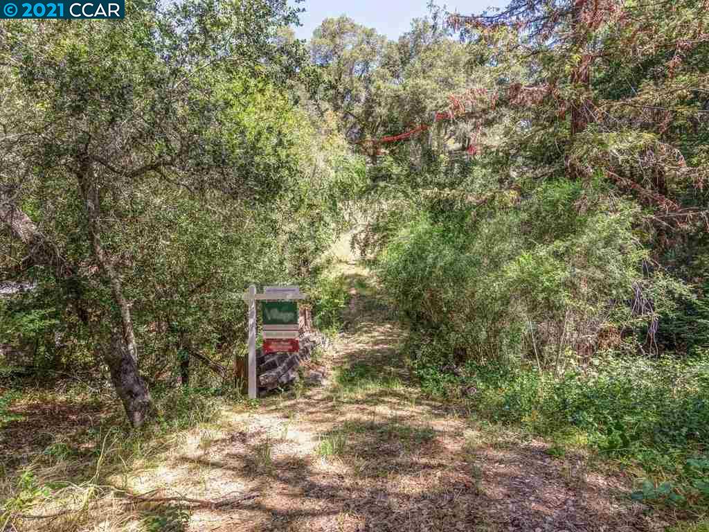 23 Kittiwake Rd, ORINDA, California 94563, ,Lots And Land,For Sale,Kittiwake Rd,40964576
