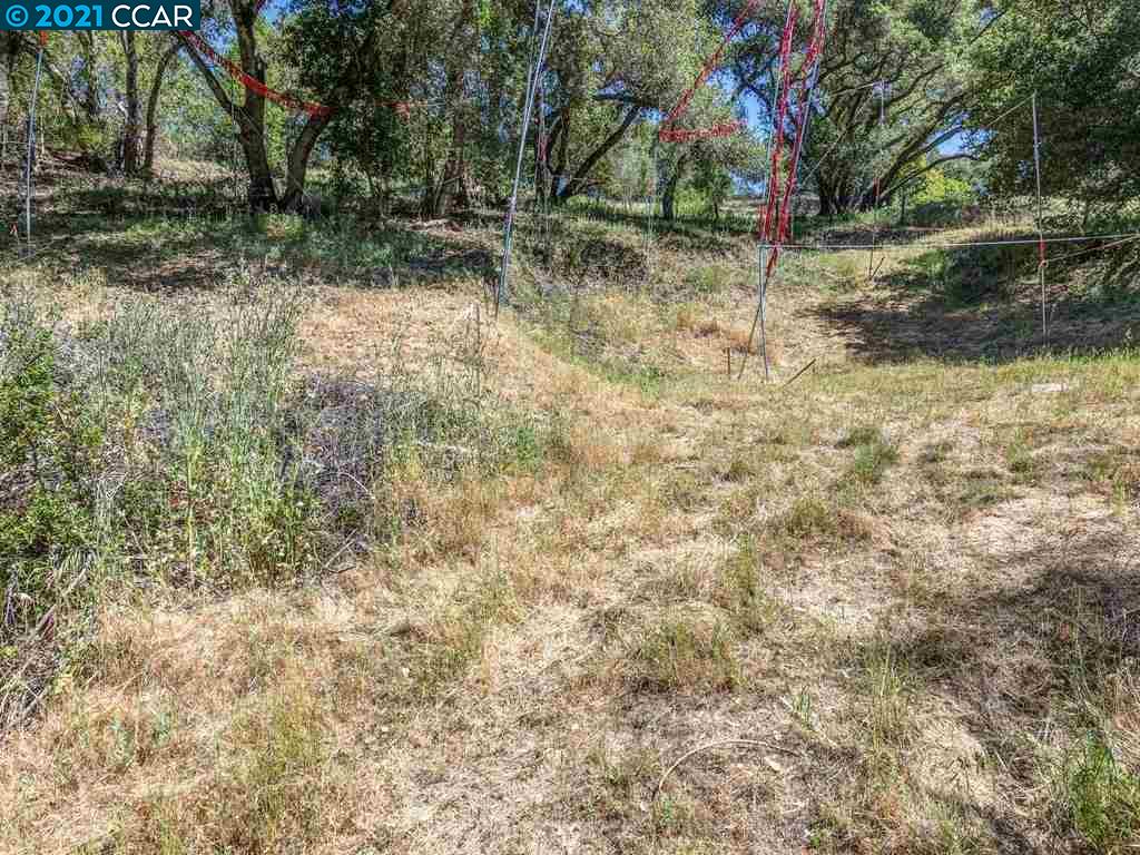 23 Kittiwake Rd, ORINDA, California 94563, ,Lots And Land,For Sale,Kittiwake Rd,40964576