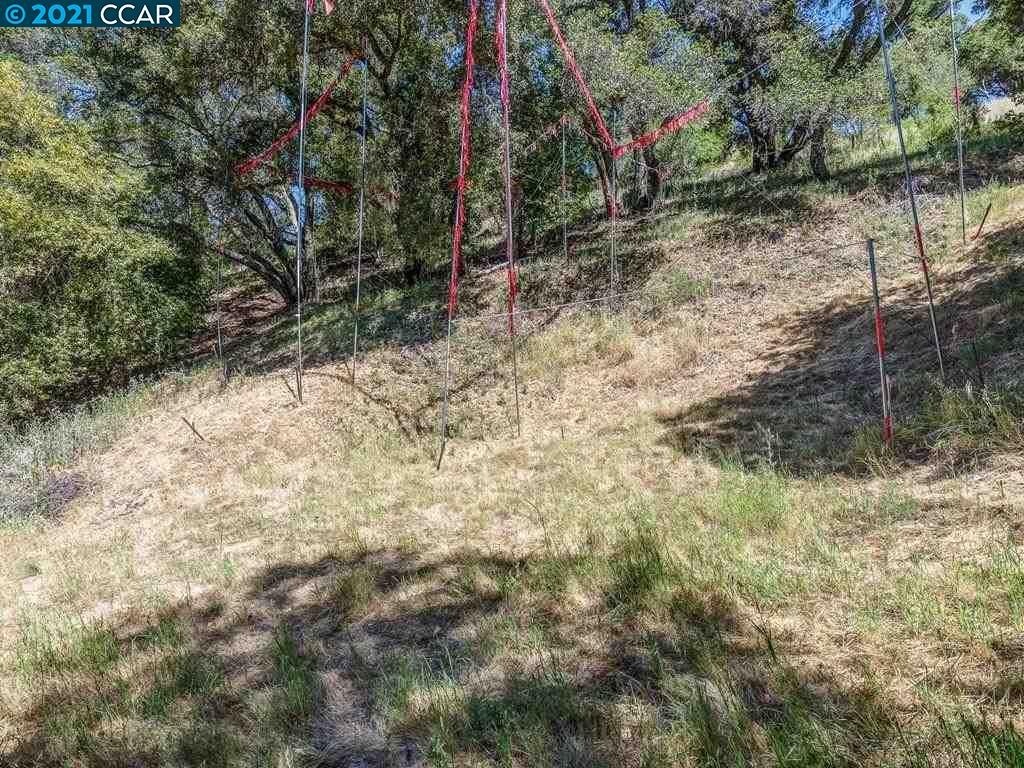 23 Kittiwake Rd, ORINDA, California 94563, ,Lots And Land,For Sale,Kittiwake Rd,40964576