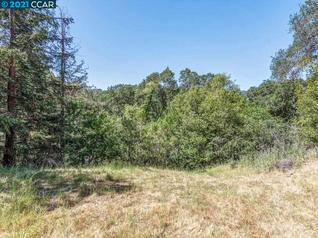 23 Kittiwake Rd, ORINDA, California 94563, ,Lots And Land,For Sale,Kittiwake Rd,40964576