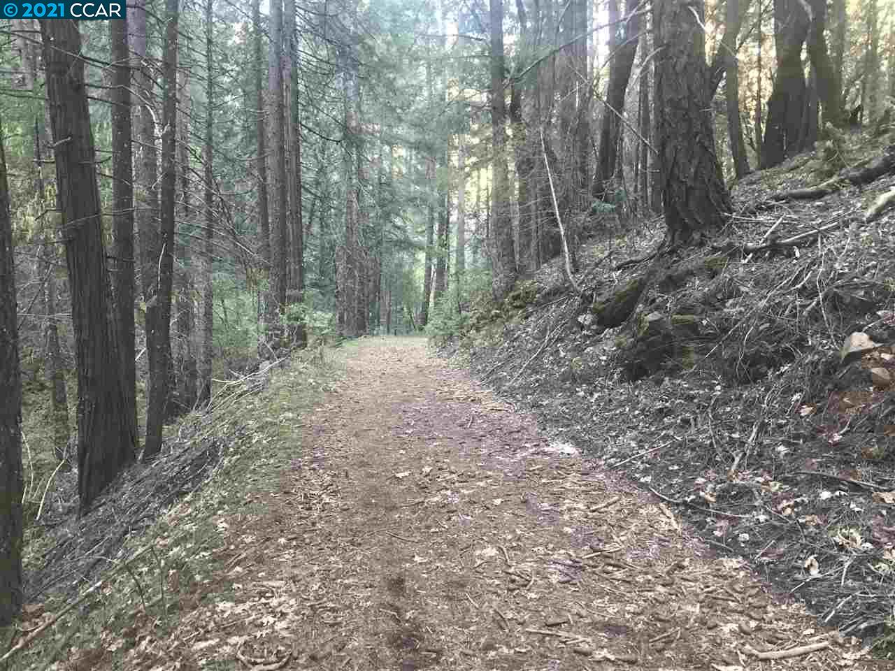 4790 Sierra Springs Dr., POLLOCK PINES, California 95726, ,Lots And Land,For Sale,Sierra Springs Dr.,40964651