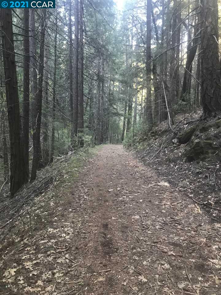 4790 Sierra Springs Dr., POLLOCK PINES, California 95726, ,Lots And Land,For Sale,Sierra Springs Dr.,40964651