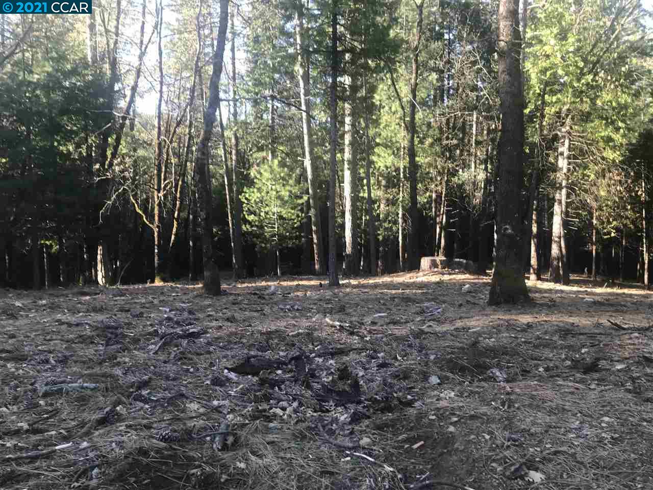 4790 Sierra Springs Dr., POLLOCK PINES, California 95726, ,Lots And Land,For Sale,Sierra Springs Dr.,40964651