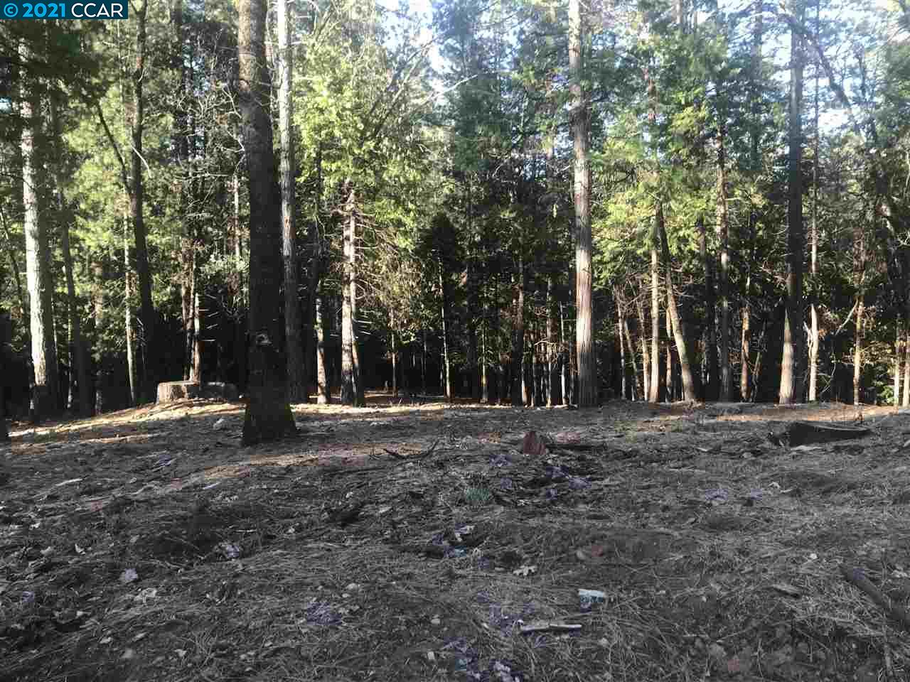 4790 Sierra Springs Dr., POLLOCK PINES, California 95726, ,Lots And Land,For Sale,Sierra Springs Dr.,40964651