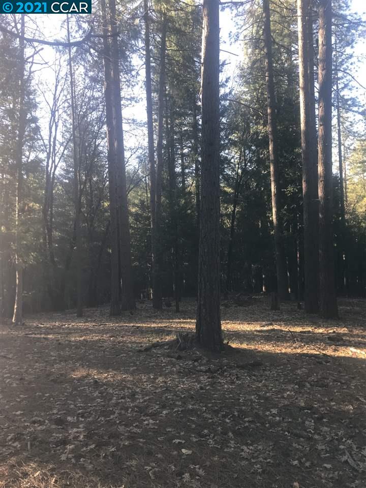 4790 Sierra Springs Dr., POLLOCK PINES, California 95726, ,Lots And Land,For Sale,Sierra Springs Dr.,40964651