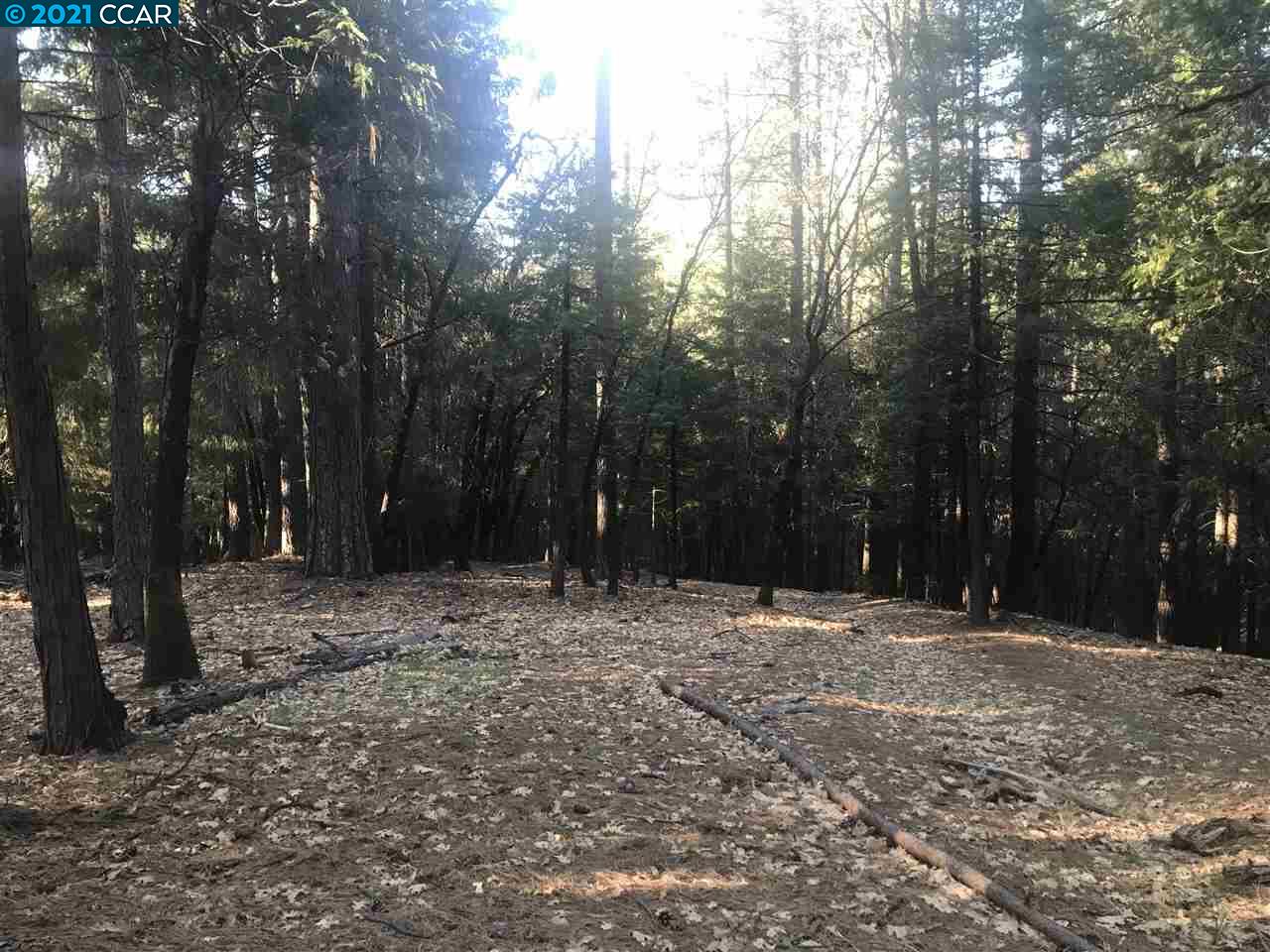 4790 Sierra Springs Dr., POLLOCK PINES, California 95726, ,Lots And Land,For Sale,Sierra Springs Dr.,40964651