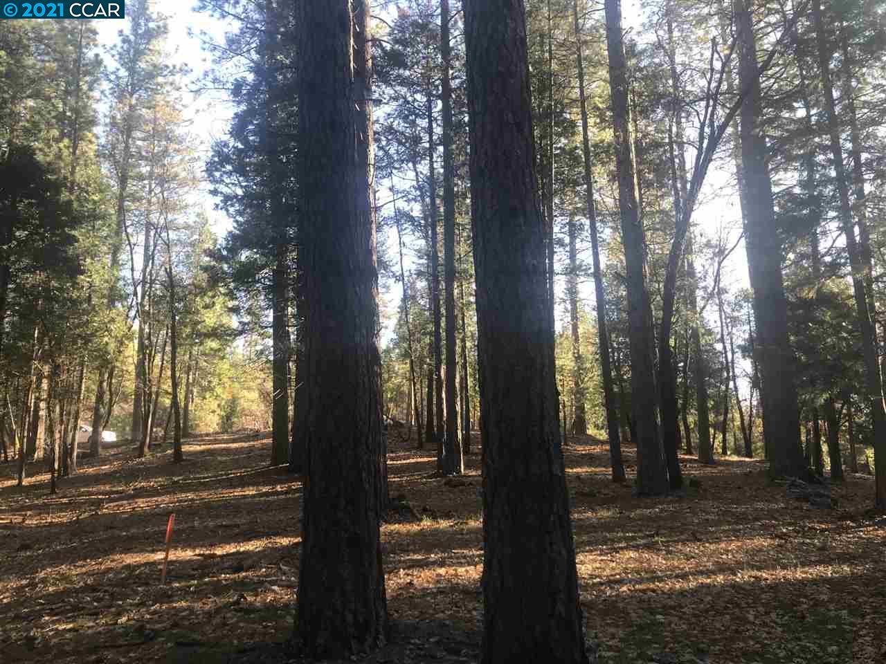 4790 Sierra Springs Dr., POLLOCK PINES, California 95726, ,Lots And Land,For Sale,Sierra Springs Dr.,40964651