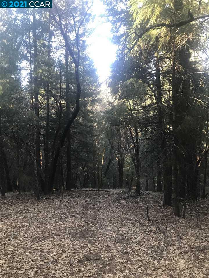 4790 Sierra Springs Dr., POLLOCK PINES, California 95726, ,Lots And Land,For Sale,Sierra Springs Dr.,40964651