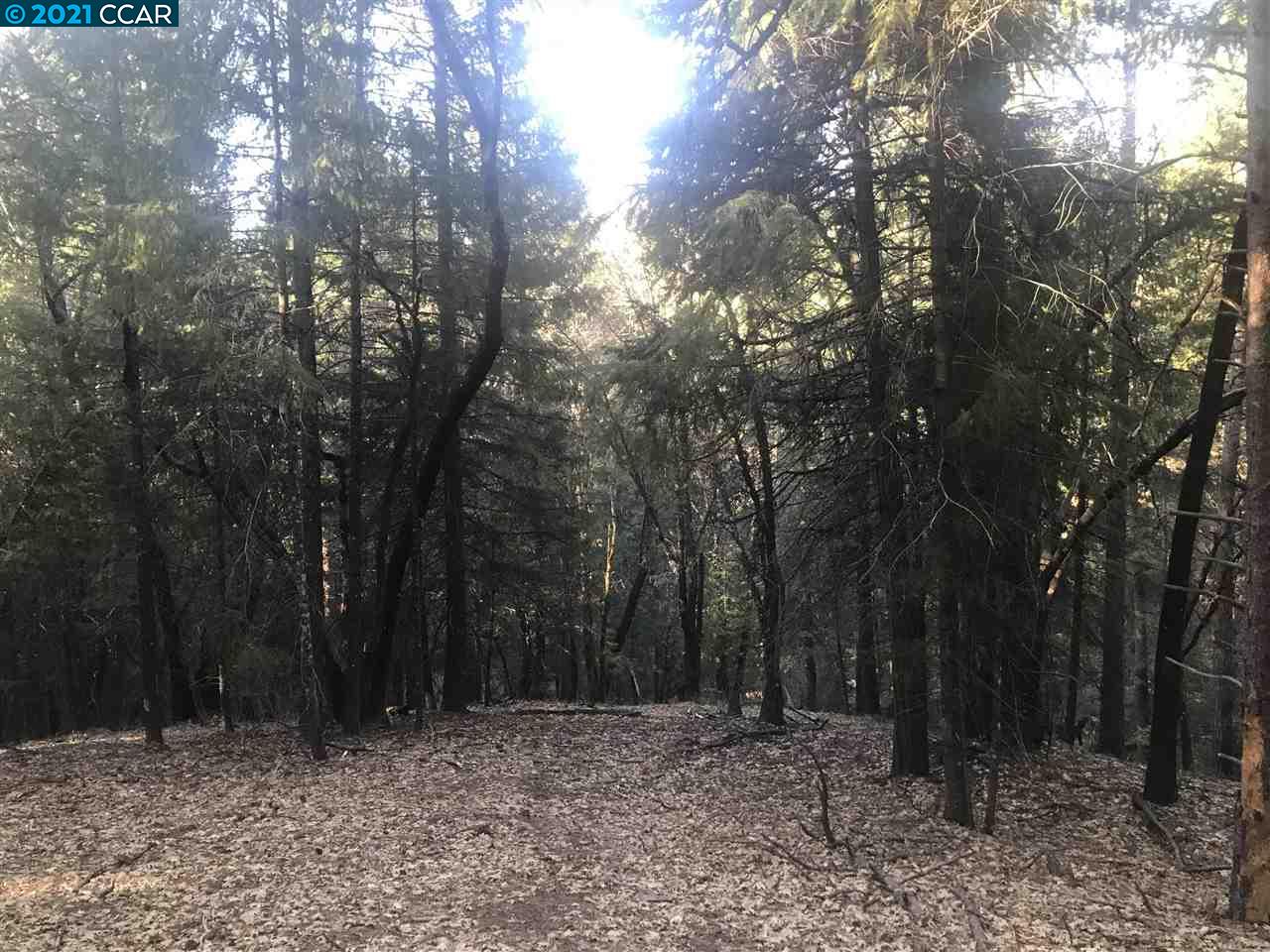 4790 Sierra Springs Dr., POLLOCK PINES, California 95726, ,Lots And Land,For Sale,Sierra Springs Dr.,40964651