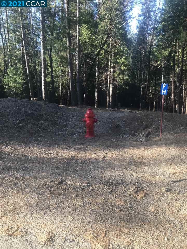 4790 Sierra Springs Dr., POLLOCK PINES, California 95726, ,Lots And Land,For Sale,Sierra Springs Dr.,40964651
