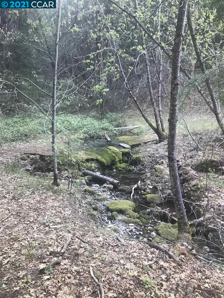 4790 Sierra Springs Dr., POLLOCK PINES, California 95726, ,Lots And Land,For Sale,Sierra Springs Dr.,40964651