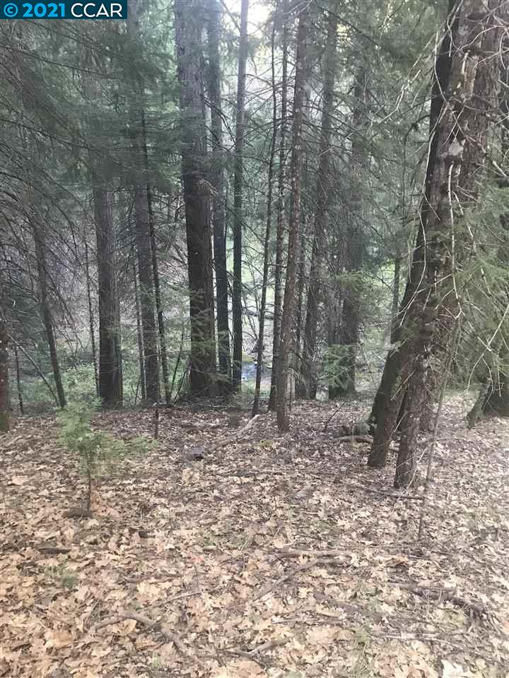4790 Sierra Springs Dr., POLLOCK PINES, California 95726, ,Lots And Land,For Sale,Sierra Springs Dr.,40964651