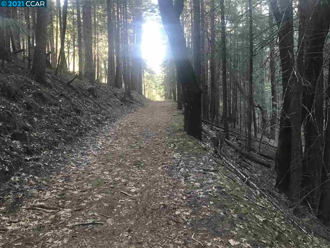4790 Sierra Springs Dr., POLLOCK PINES, California 95726, ,Lots And Land,For Sale,Sierra Springs Dr.,40964651
